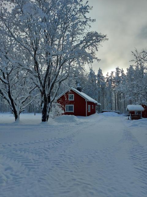 Esterin Tupa, Alajärvi