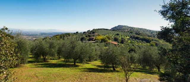 The Country House Montali