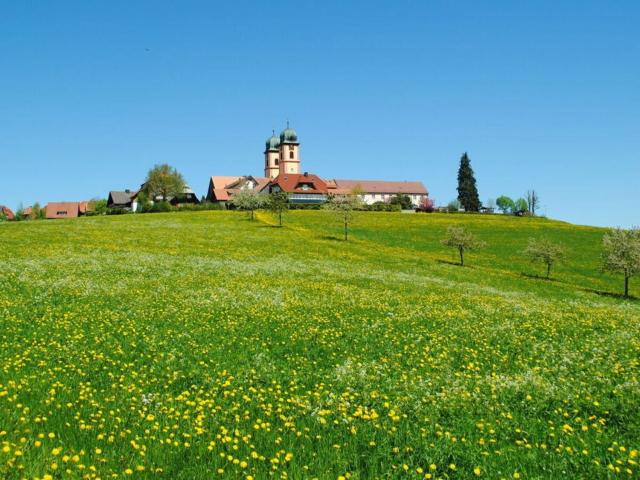 Landhuis Appartement Feldberg uitzicht