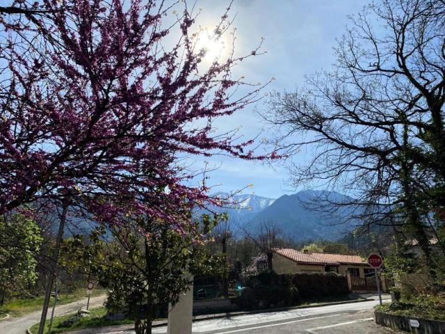 Résidence Balcon Du Canigou - 2 Pièces pour 4 Personnes 121