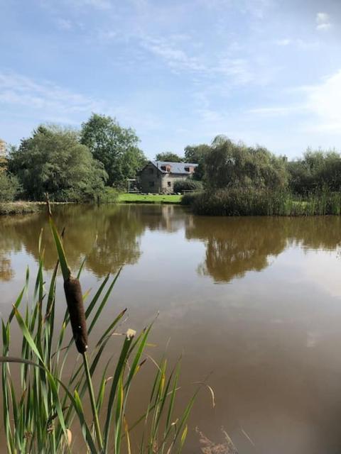 Rhedyn - Cosy Fishing Lodge Near Aberaeron