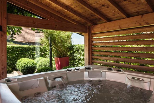 Le Logis des Prés Verts Villa avec Jacuzzi Privatif