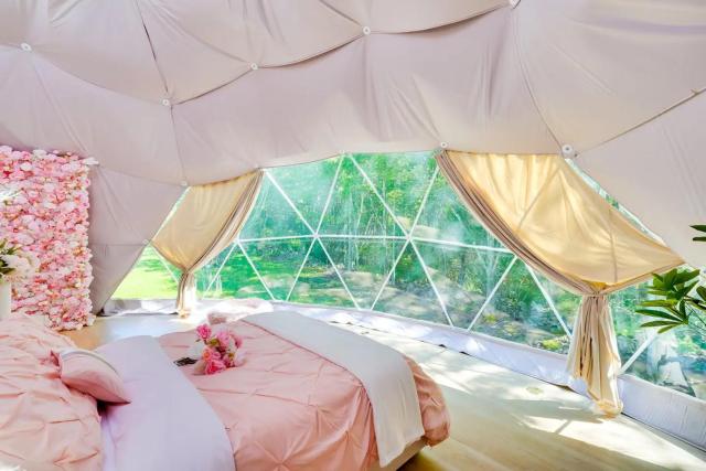 Unique Escapes - Rosé All Day Geodome