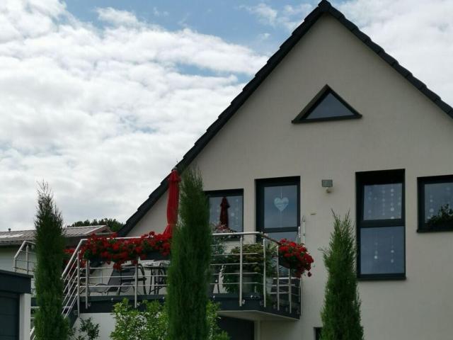 Lively apartment in Freinsheim