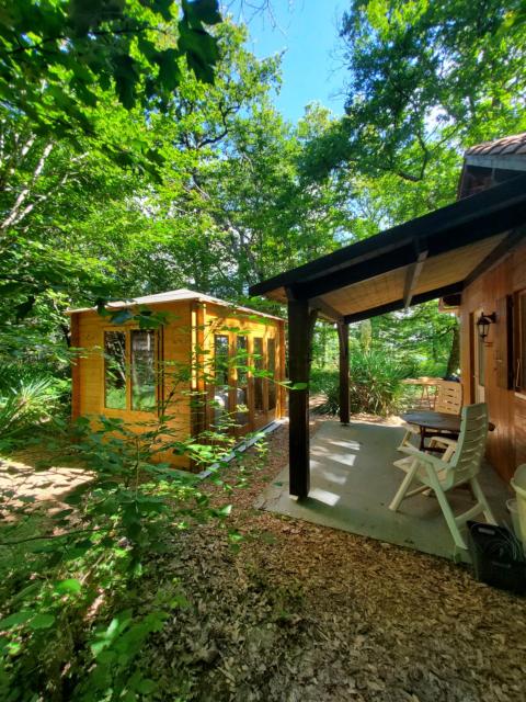 Cabane des bois