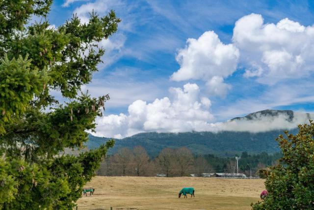 Riverside Haven - Turangi Holiday Home