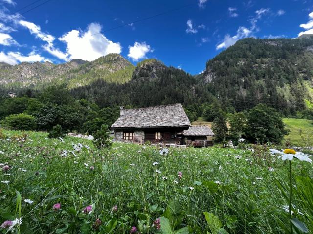 Walser Haus- Bluchalet