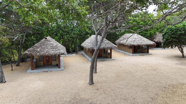 Peanut Farm Surf and Wild Resort - Arugambay