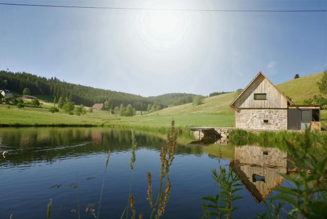 Ferienhaus im Schwarzwald am See "Backhäusle"