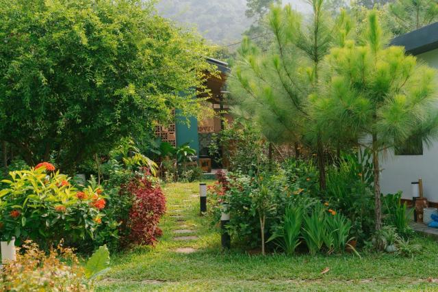 Anna Little Garden - Homestay Sóc Sơn - Thong House