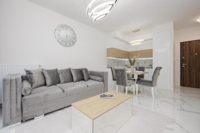 Luxurious Grey Apartment with Sauna, Gym and Parking by Noclegi Renters