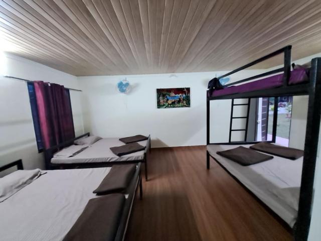 Dandeli Cheetah Jungle Stay Resort