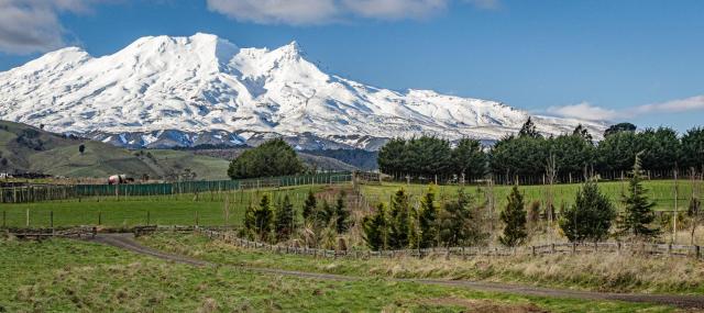 Taylor's Alpine Retreat - Ohakune Holiday Home