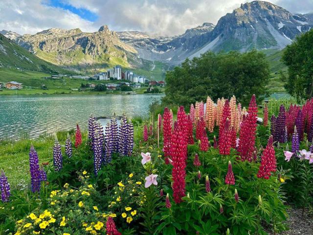 Tignes Val-Claret, Apt 2P Cabine 33m², 6 pers, Balcon - FR-1-449-193