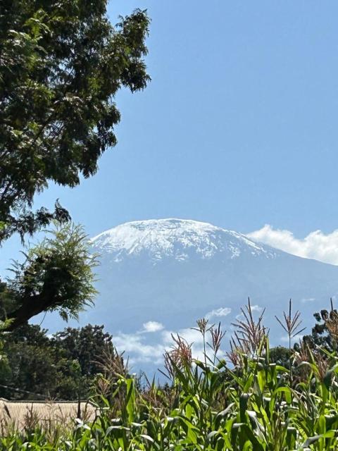 Tukutane Kilimanjaro - Homestay