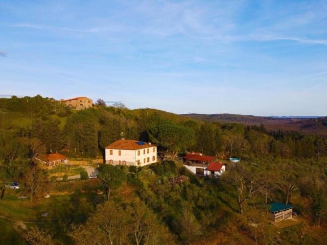 Agriturismo Poggio al Turco - Terrace View