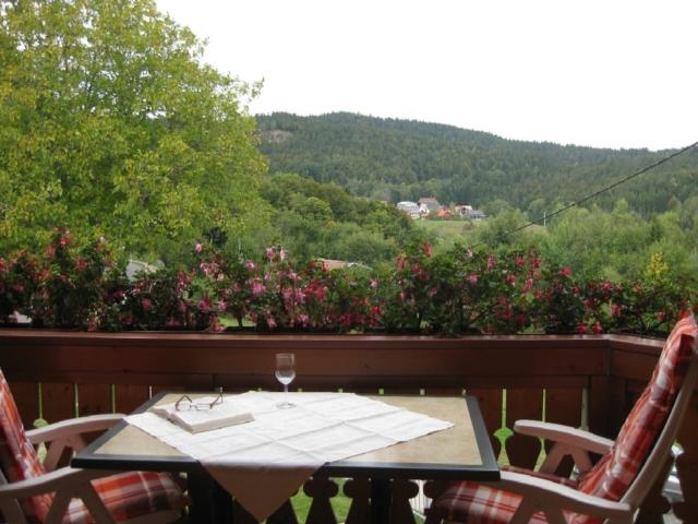 Fewo mit Balkon und herrlicher Fernsicht