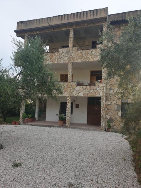 Centre Vlore Guest House