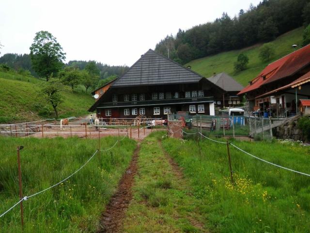 Ferienwohnung am Belchen