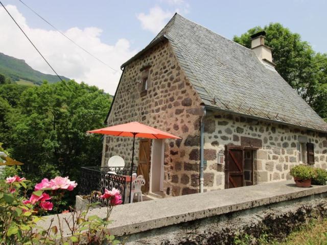 Maison de caractère à Mandailles-St-Julien, 4 pers, proche Puy Mary, jardin, cheminée, animaux OK - FR-1-742-565