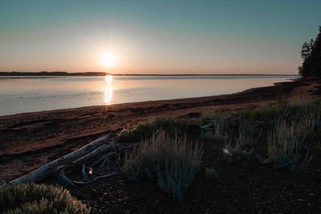 Sunset Off-grid Oyster Creek Cabin