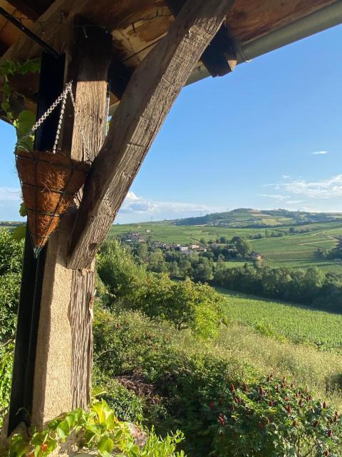 Cottage en vignoble