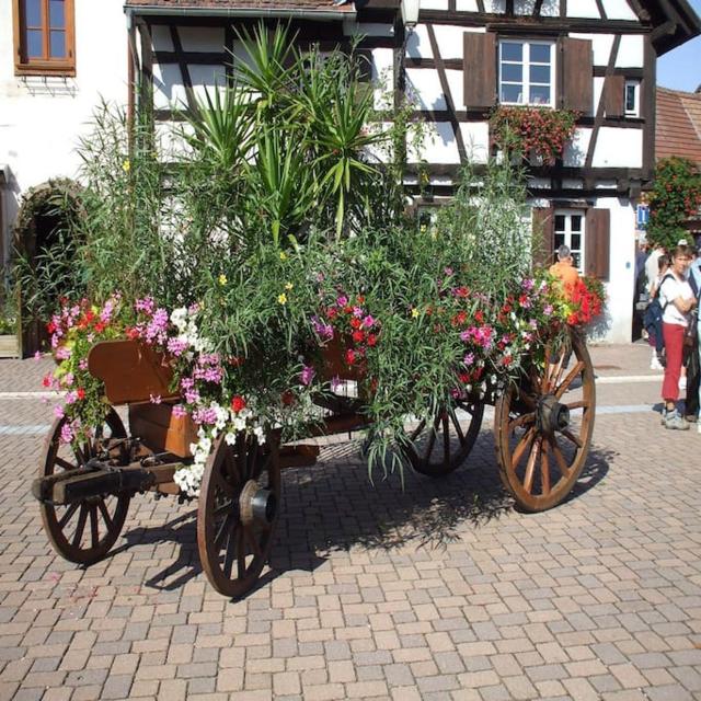 Gîte ''Les Bleuets''