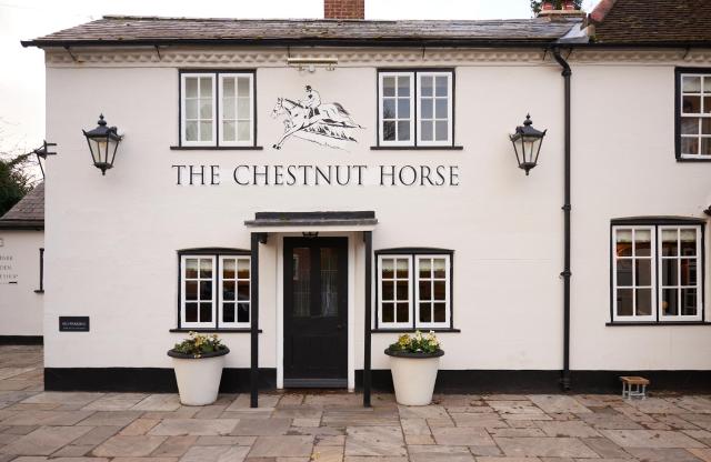 The Chestnut Horse