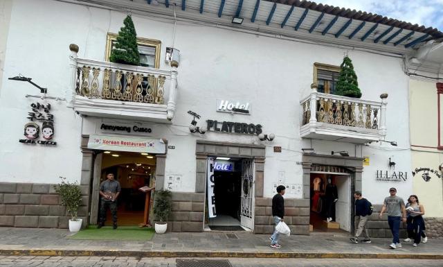 Hotel Plateros