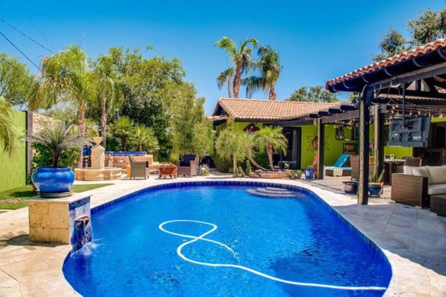 Casa Verde - Outdoor Haven in Scottsdale