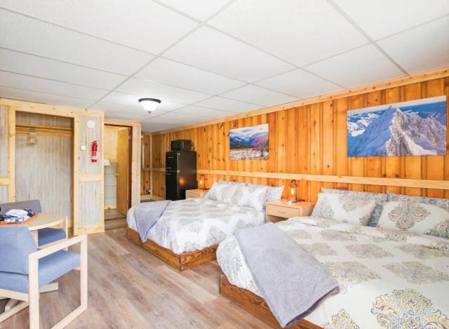 4 Spacious Dog Friendly Cozy Motel Room Leadville