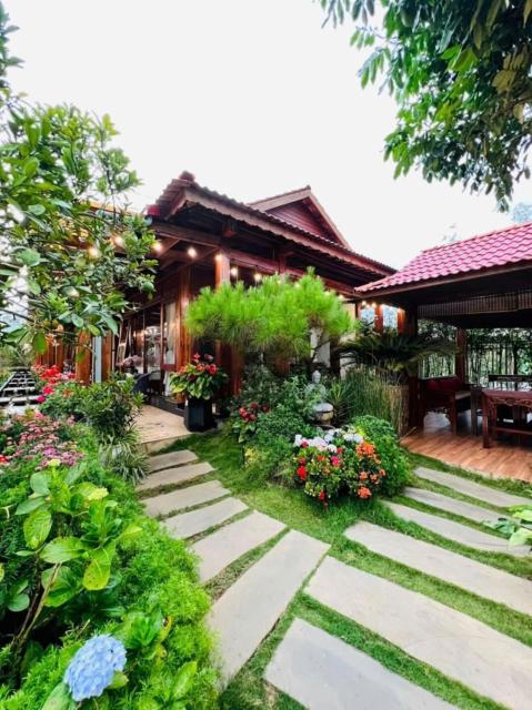 Vườn Trà HomeStay Măng Đen