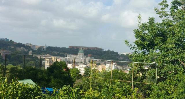 Nel cuore di Napoli