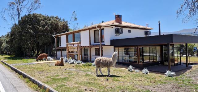 La Maison d'Urbina