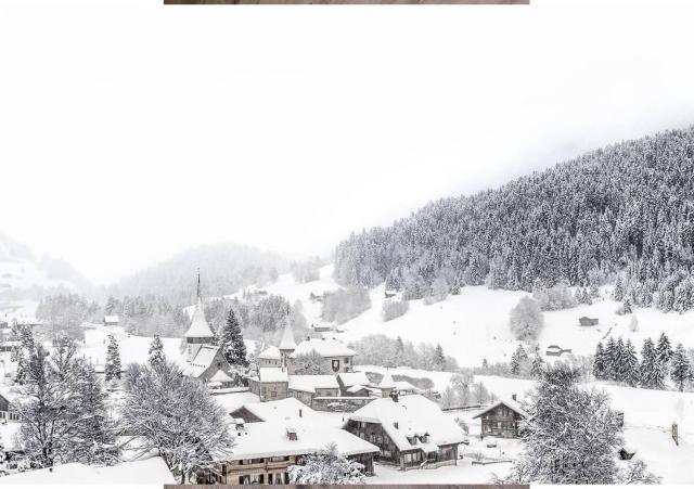 Super Luxury Serviced Apartment next to Gstaad