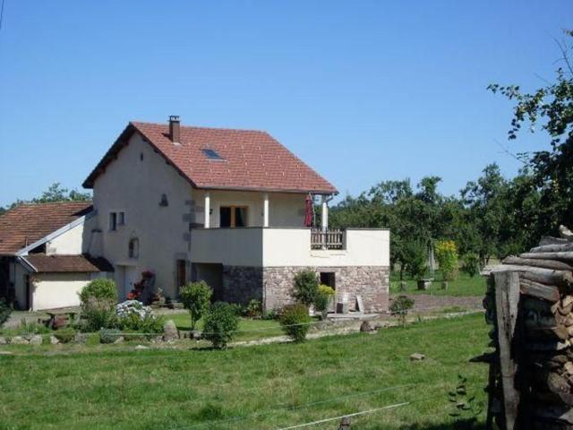 Gîte paisible au cœur des Vosges avec verger, WIFI et terrasse - FR-1-583-310