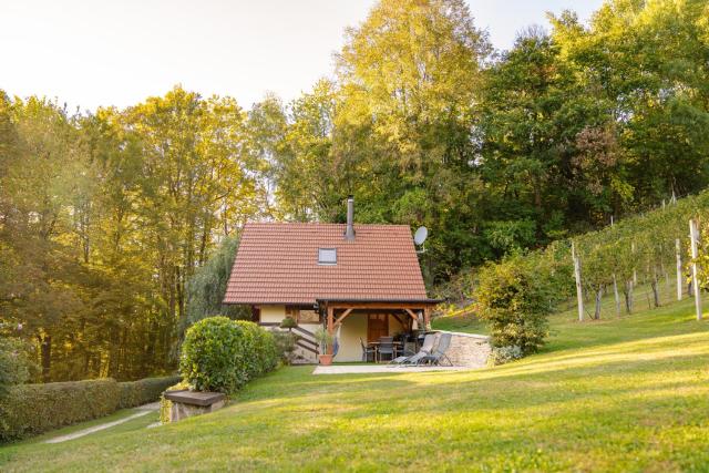 Holiday Home Emaj with Sauna