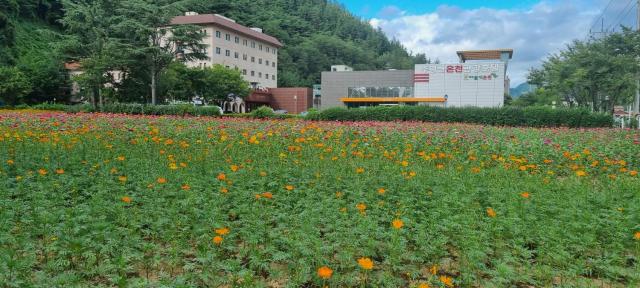 Juwang Mt Oncheon Tourist Hotel