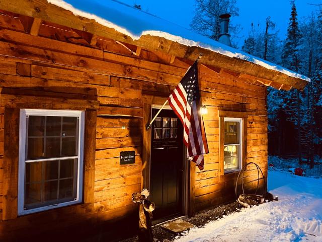 Super Cozy Four-season Adirondack Cabin - Prime Location!