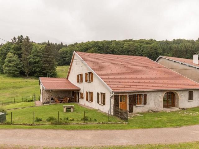 Ancienne ferme vosgienne rénovée, idéale pour famille - FR-1-583-94