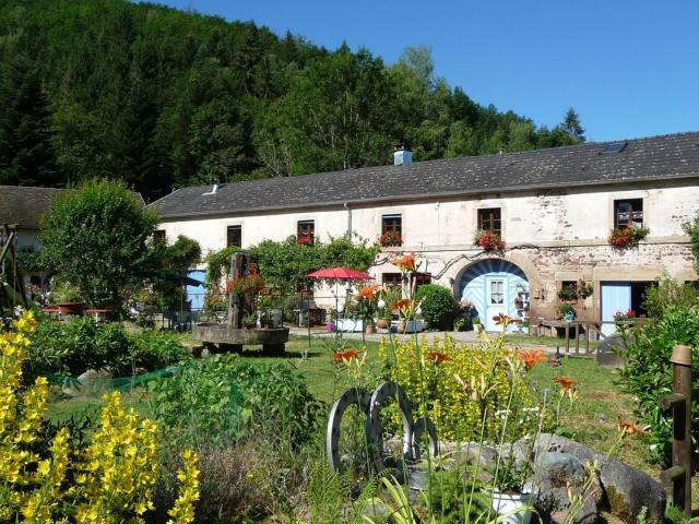 Moulin serein dans les Vosges du Sud - Gîte authentique et confort moderne - FR-1-583-112