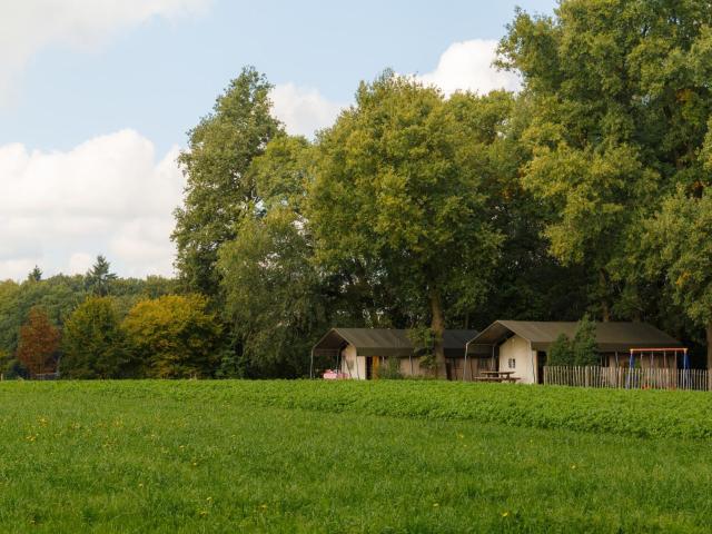 Atmospheric tent lodge with dishwasher, in Twente