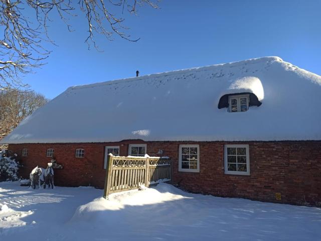 Ferienwohnung Blauer Leuchtturm