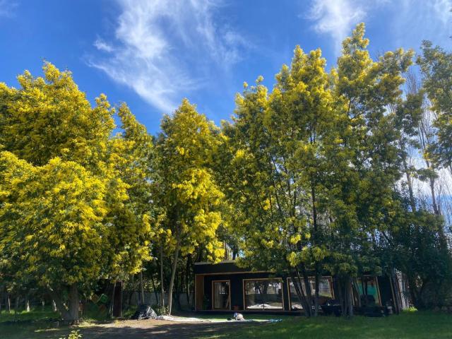 cabaña , piscina y acceso a laguna