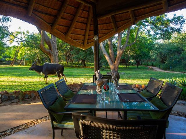 Kubu Safari Lodge