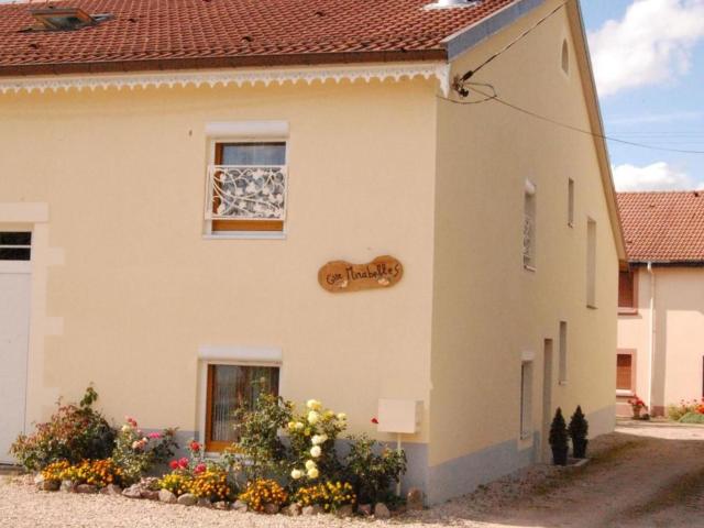 Gîte confortable près de Gérardmer avec terrasse et accueil chaleureux - FR-1-589-676