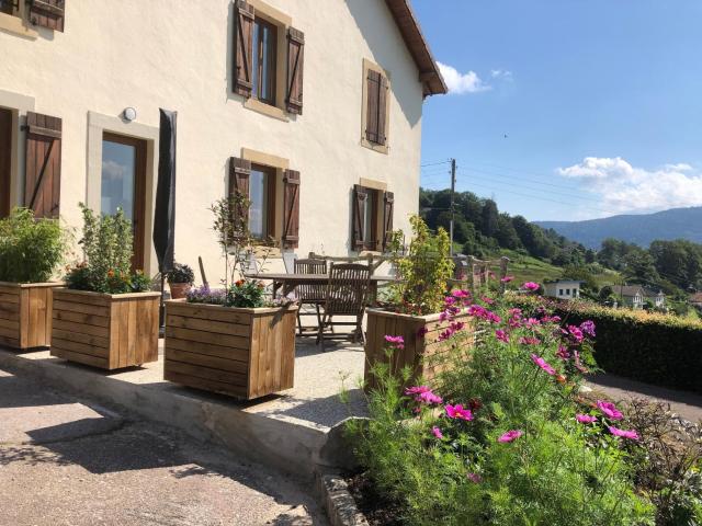 Maison rénovée près des Hautes Vosges, idéale pour activités nature - FR-1-589-696