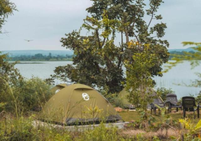 The Wilderness Campsite Telangana