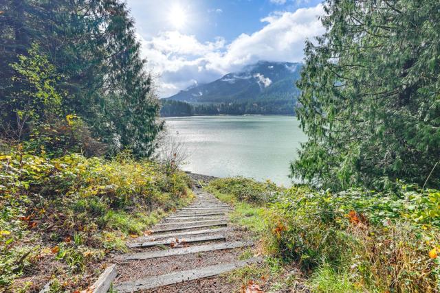 Waterfront Alder Lake Retreat Hot Tub and Deck!