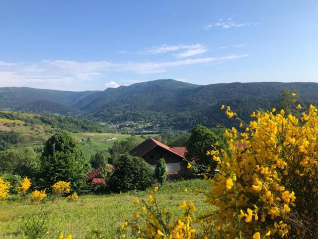 Appartement à la ferme vosgienne avec terrasse, cheminée et wifi - FR-1-589-759